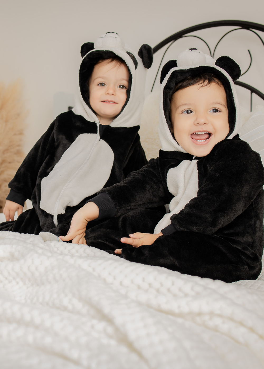 Cor_Panda Pom Pom