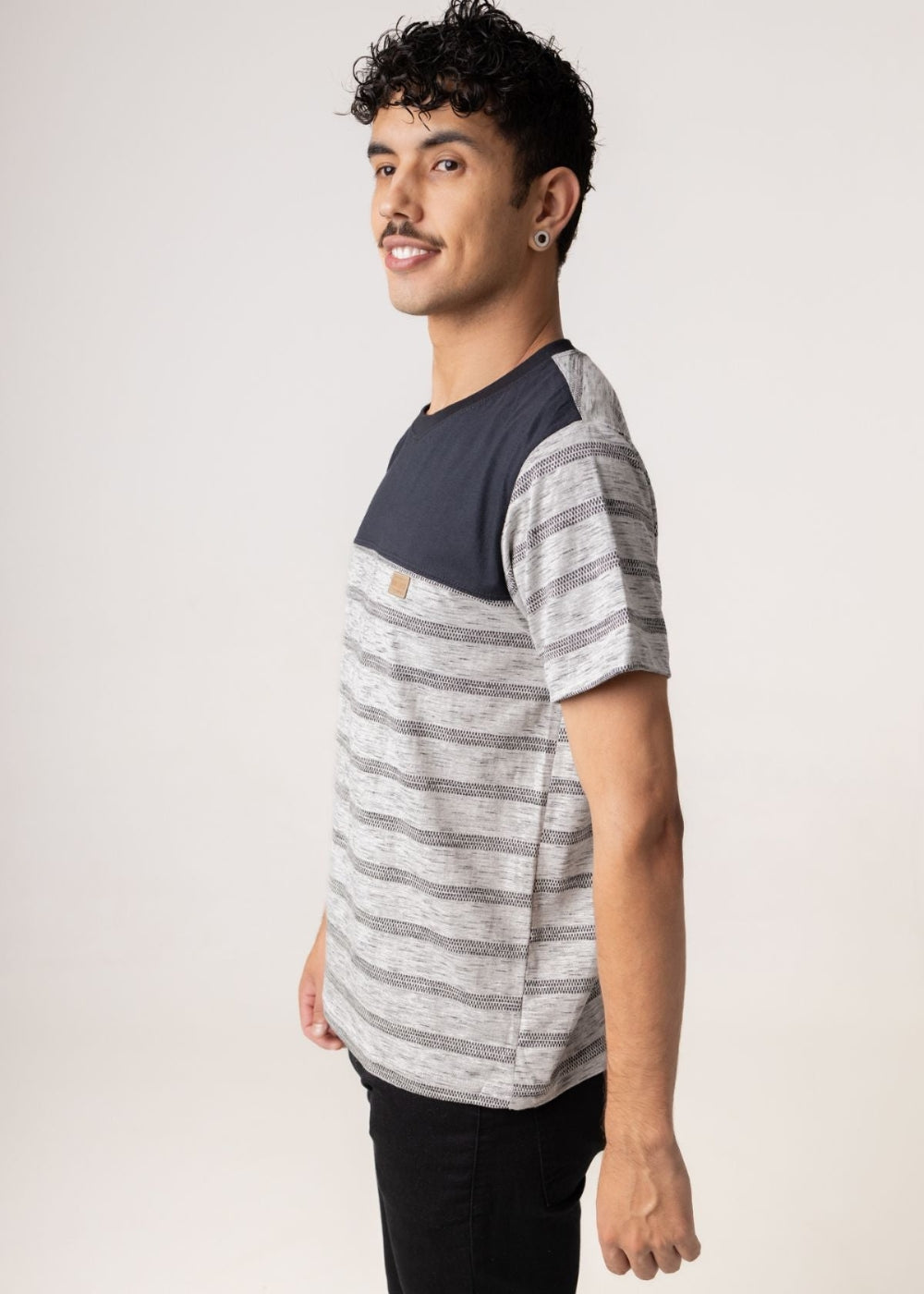 Camiseta Masculina Curta Adulta 100% Algodao Basica Verao