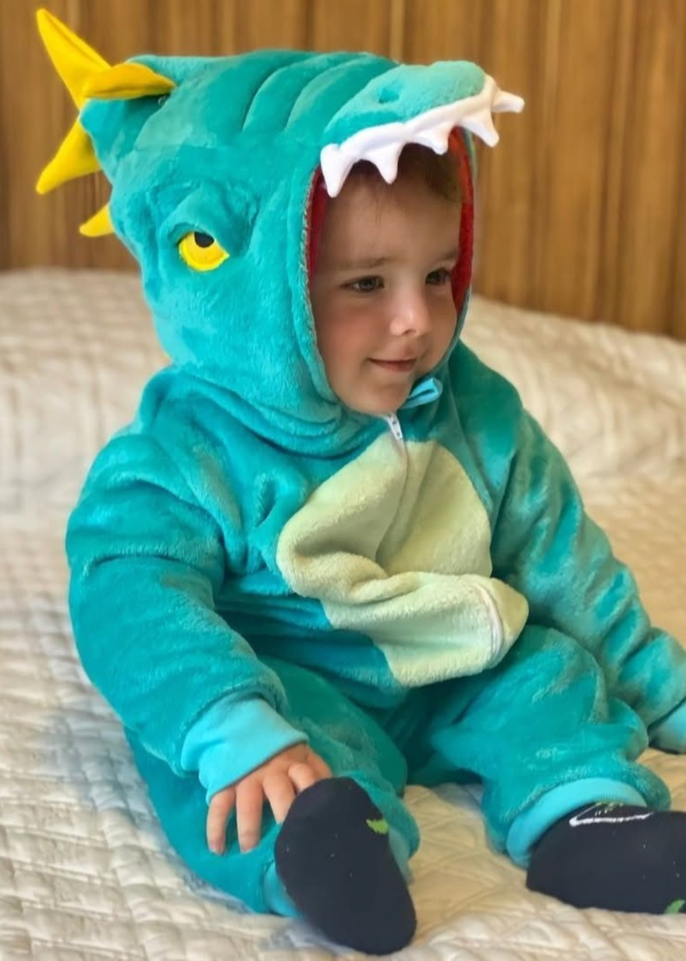 Cor_Dinossauro