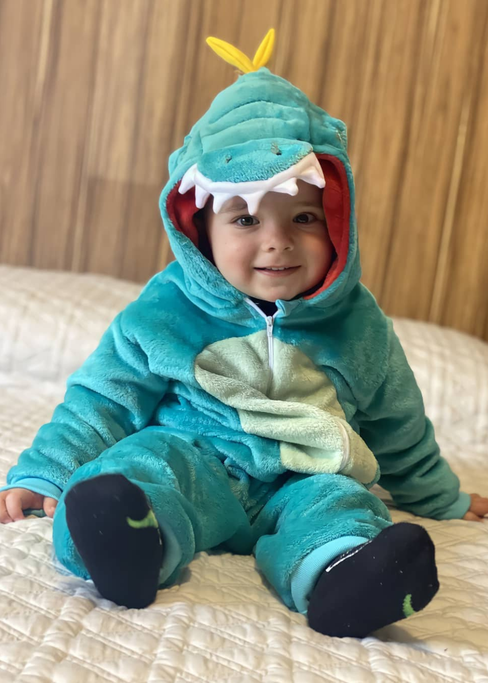 Cor_Dinossauro
