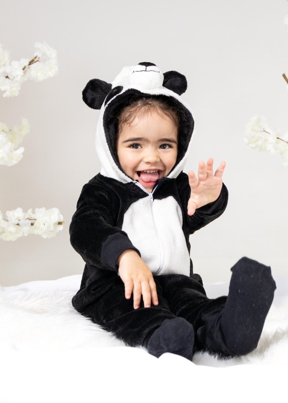 Cor_Panda Pom Pom