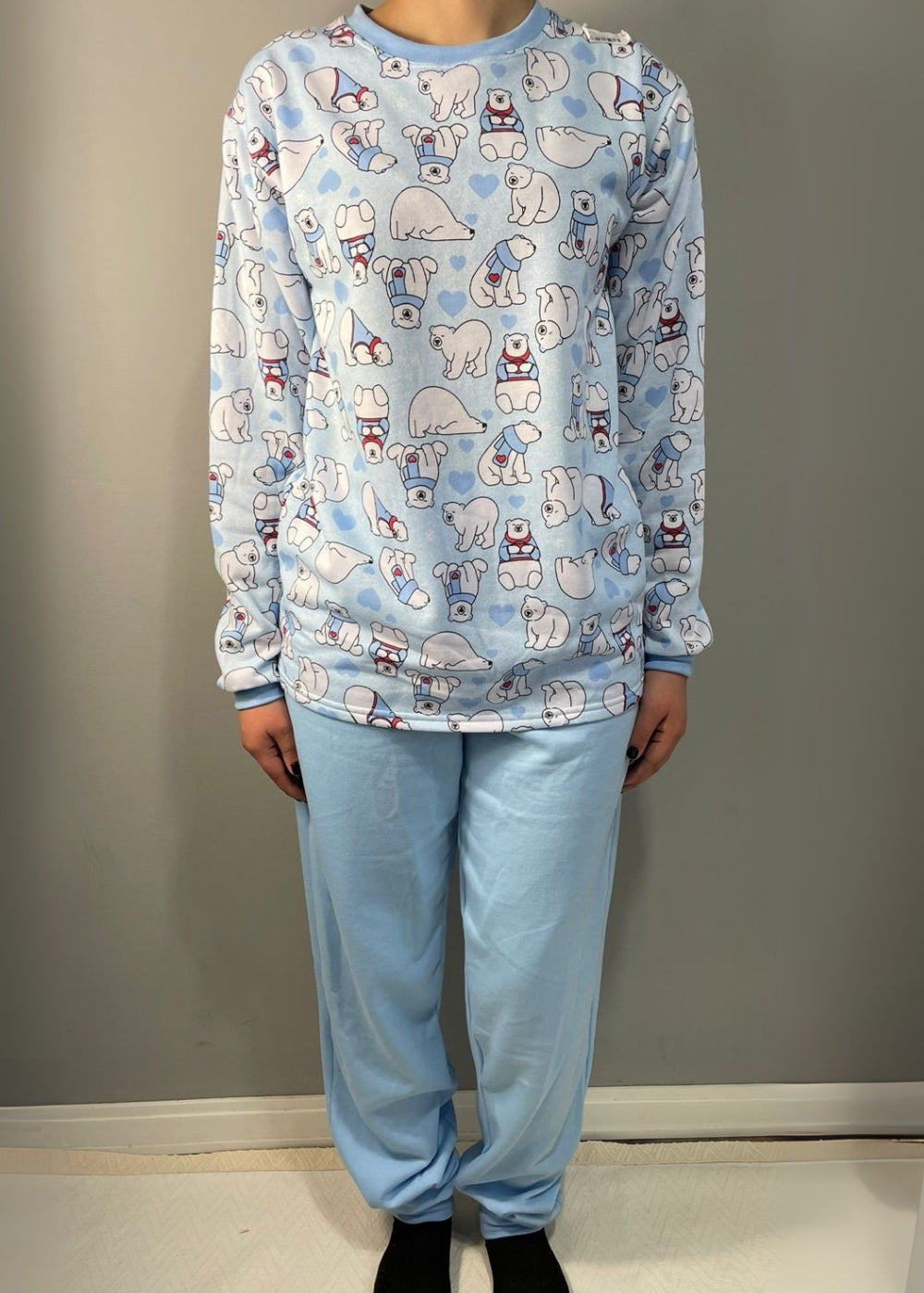 COR_URSO AZUL HIBERNA