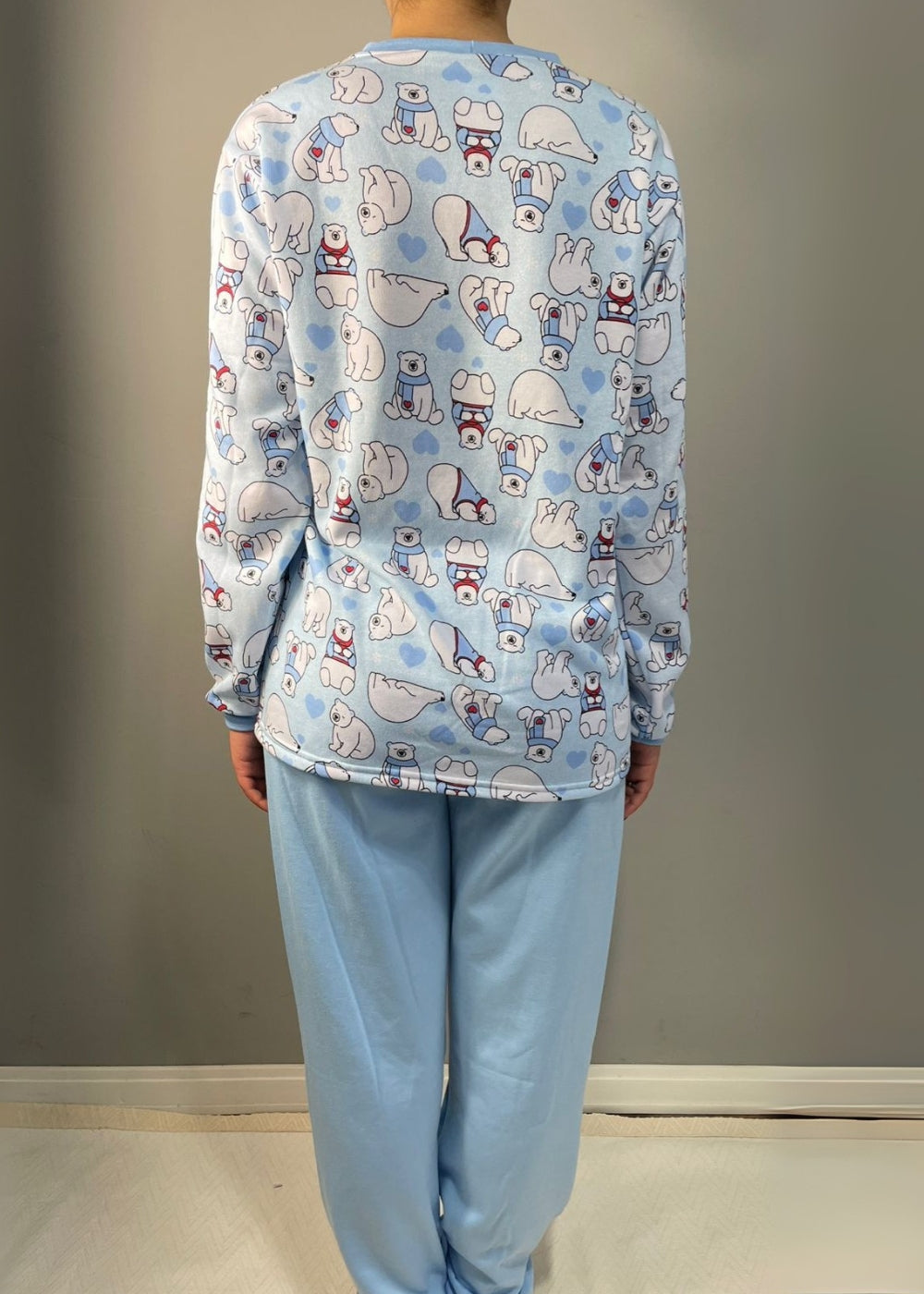 COR_URSO AZUL HIBERNA