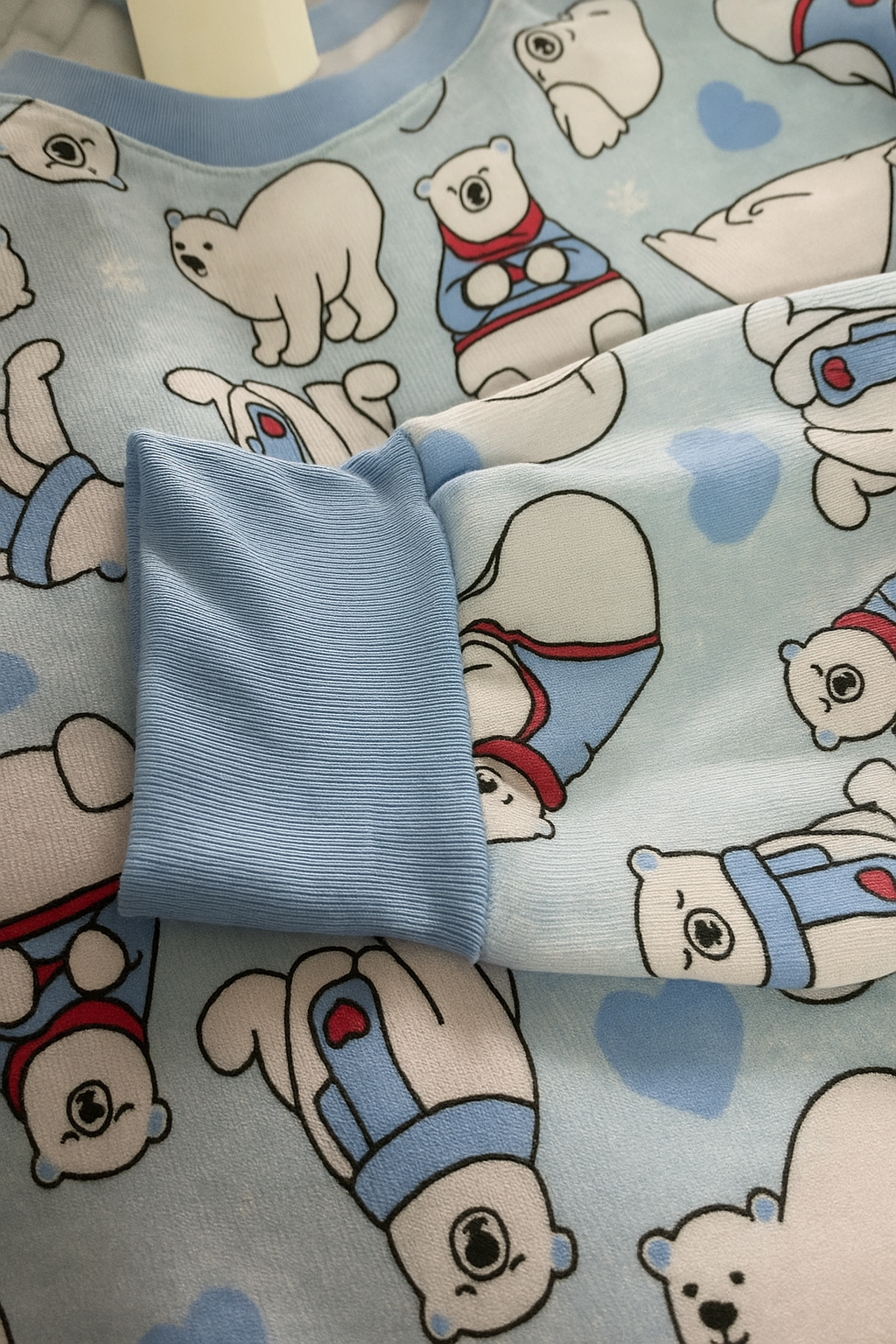 COR_URSO AZUL HIBERNA