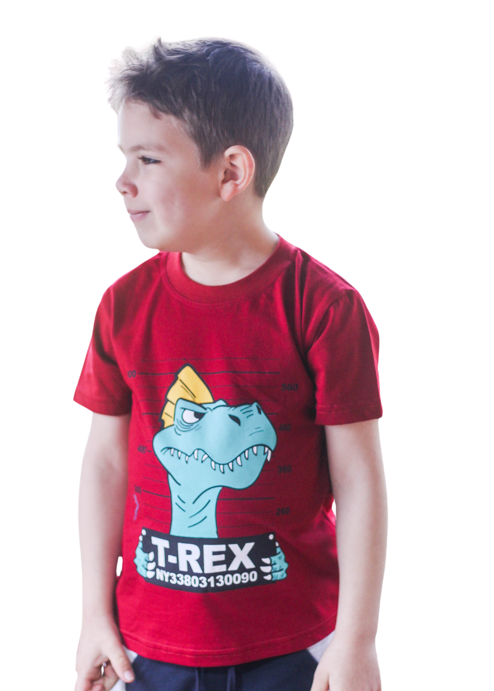 Camiseta Infantil Masculina Meninos Juvenil 100% Algodão