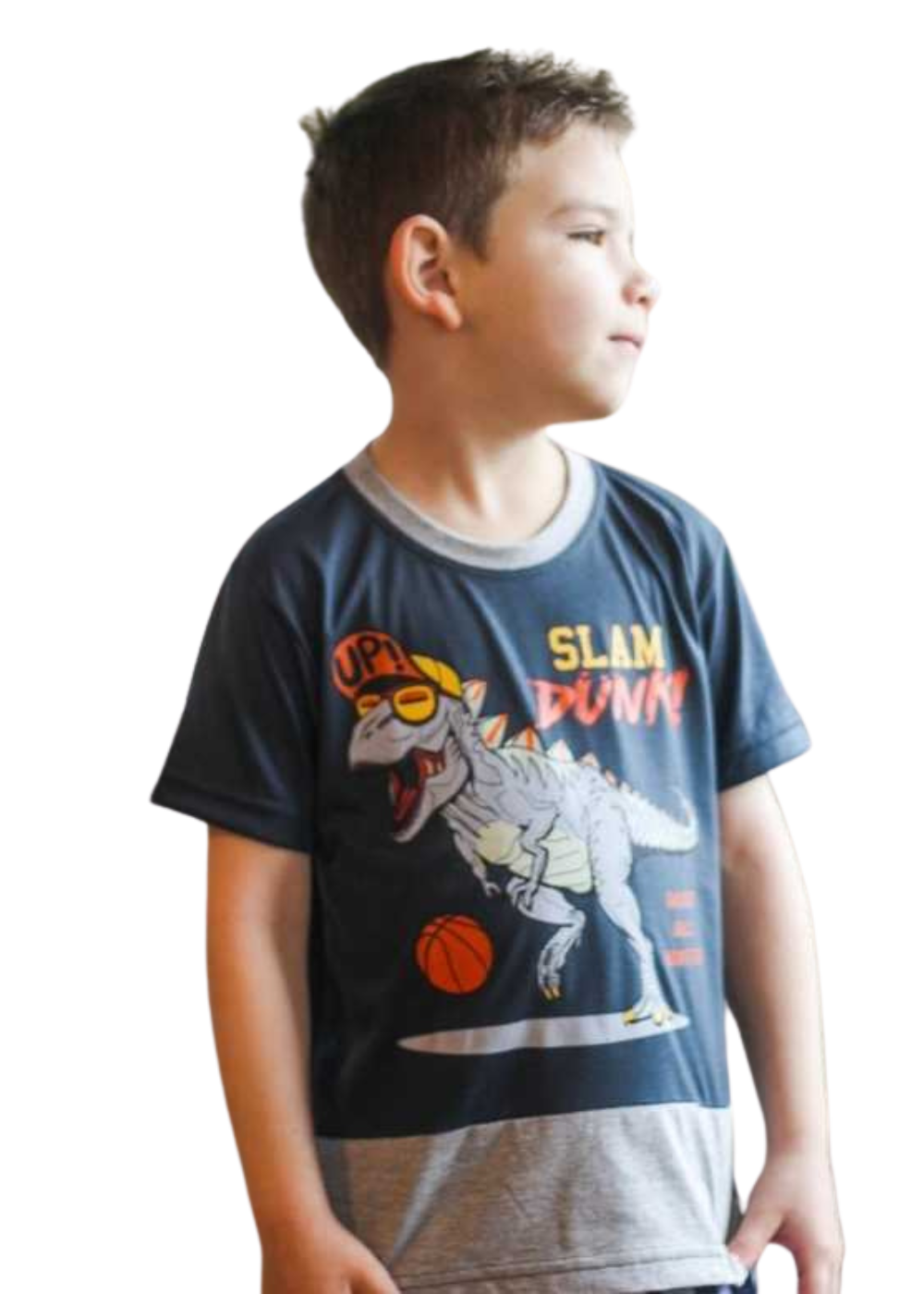 Camiseta Infantil Masculina Meninos Juvenil 100% Algodão