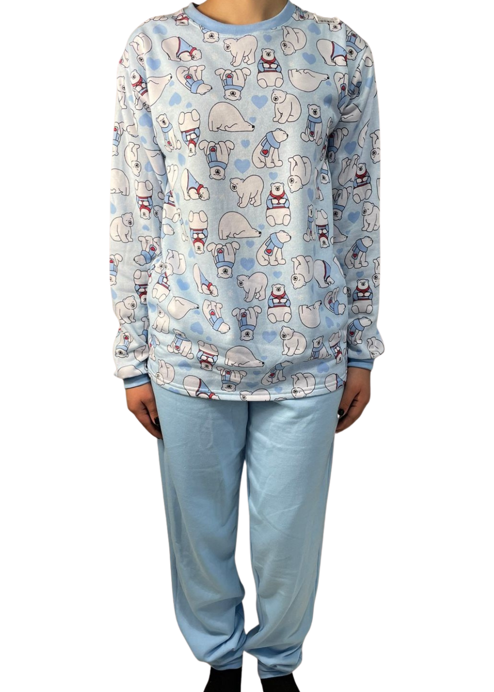 COR_URSO AZUL HIBERNA