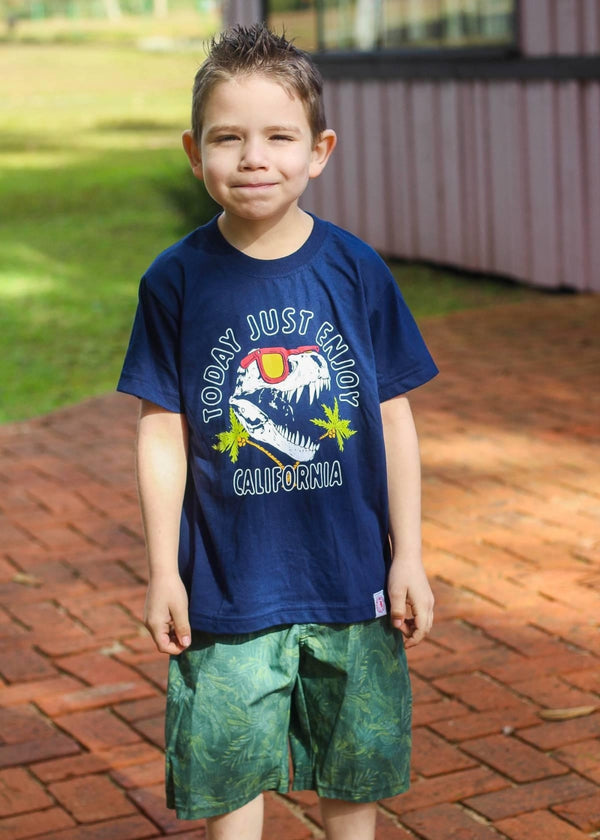 Conjunto Infantil Masculino Meninos Juvenil Camiseta 100% Algodão