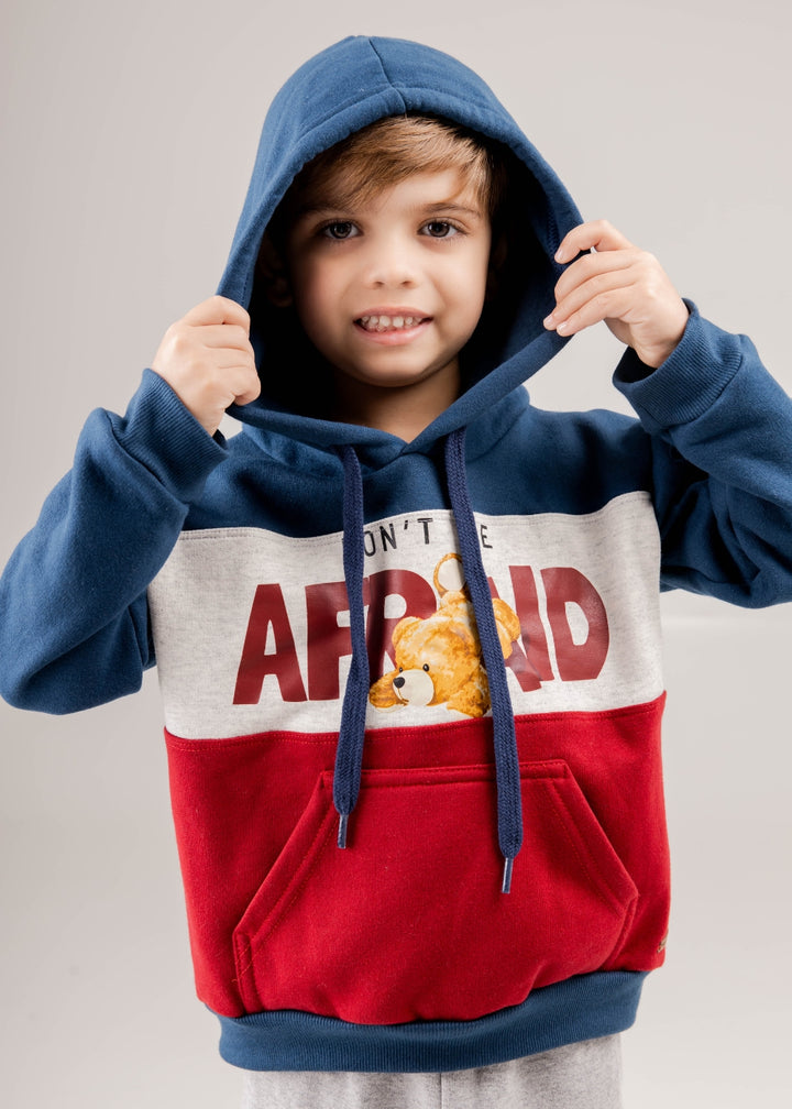 BLUSA MOLETOM INFANTIL MENINO PELUCIADA INVERNO