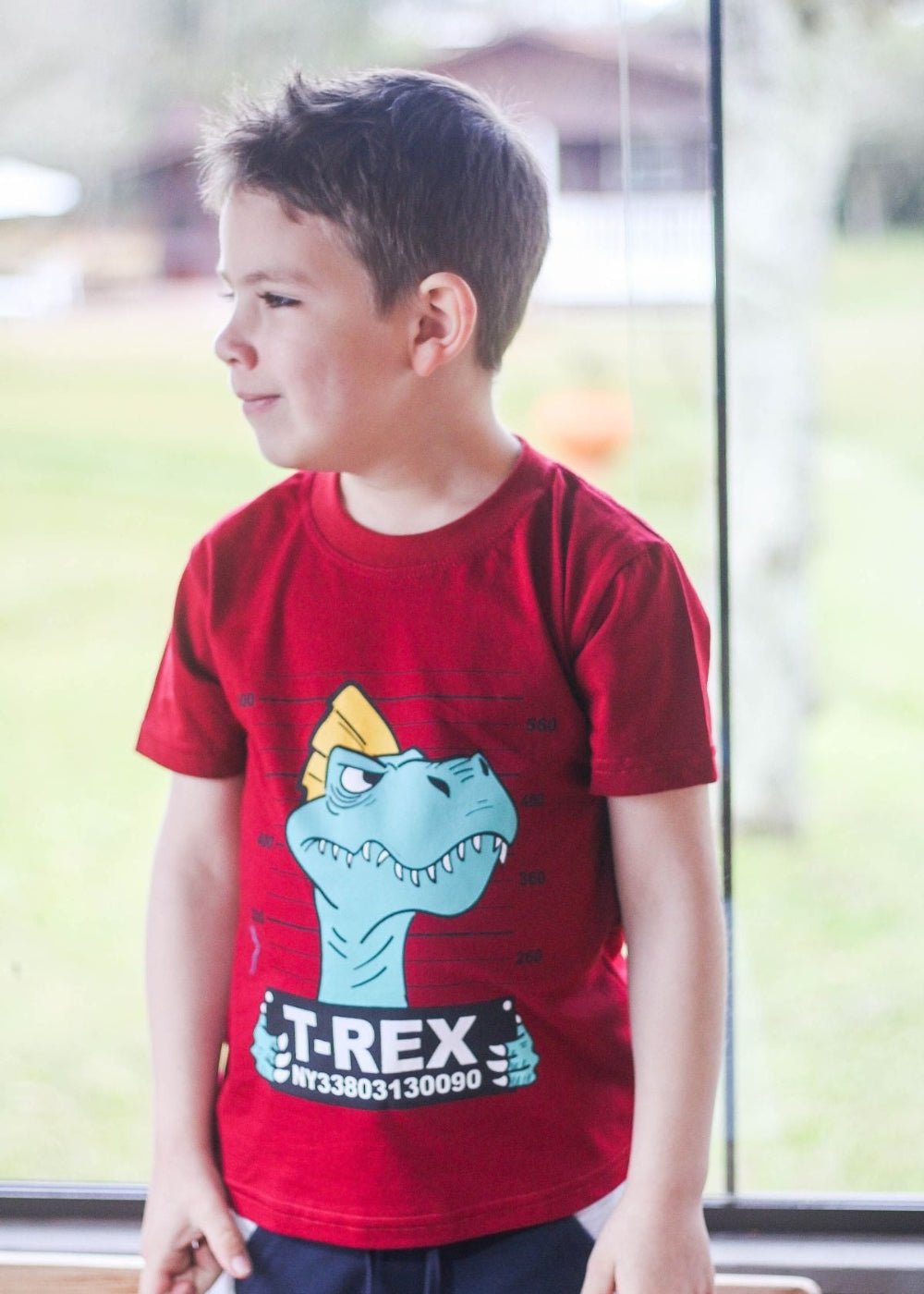 Camiseta Infantil Masculina Meninos Juvenil 100% Algodão
