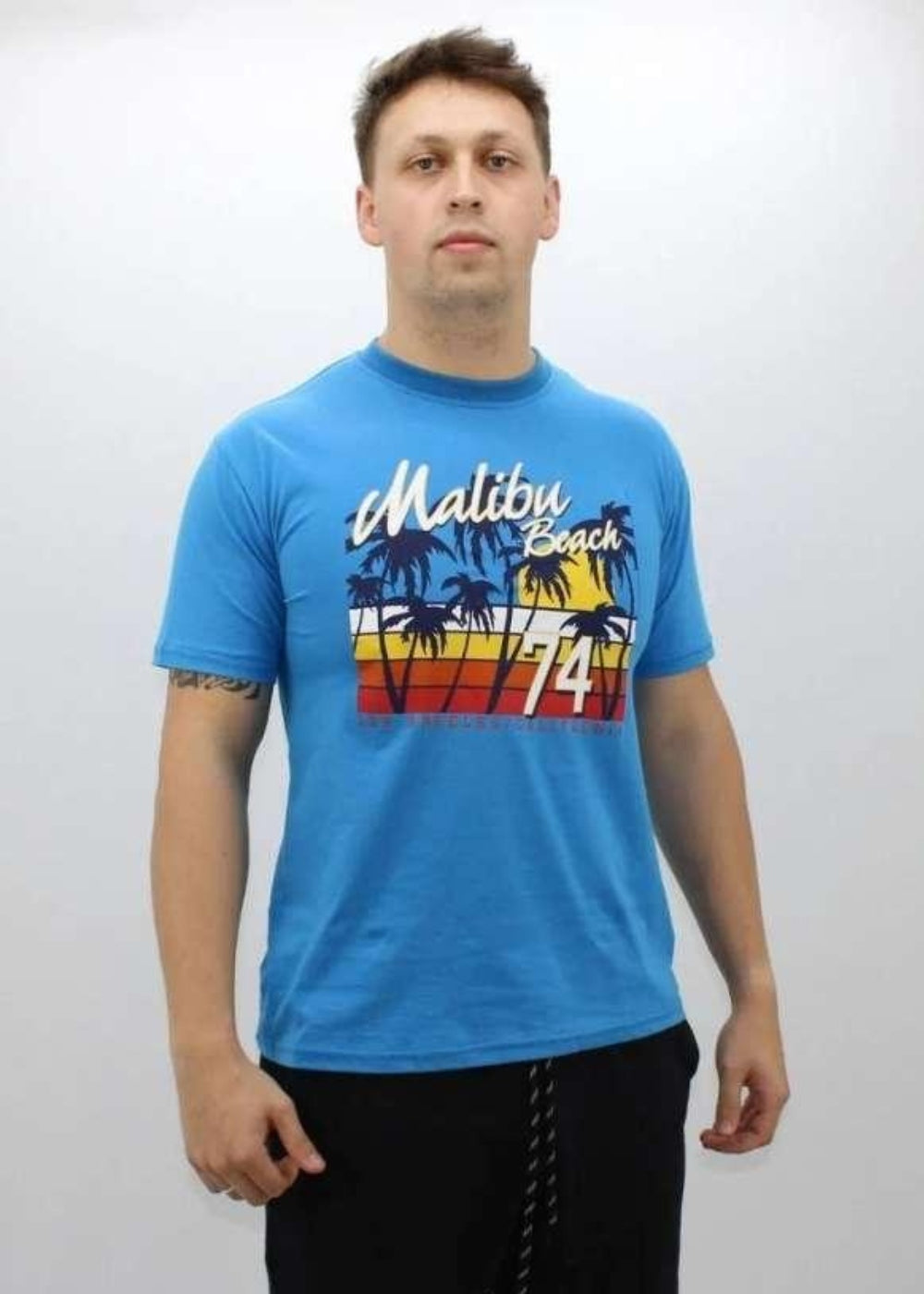Camiseta Masculina Curta Adulta 100% Algodao Basica Verao