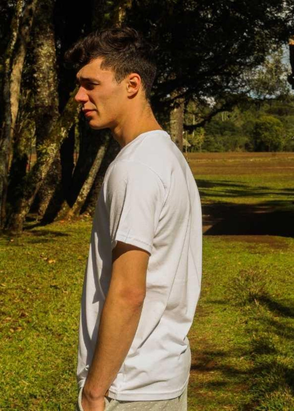 Camiseta Masculina Curta Adulta 100% Algodao Basica Verao