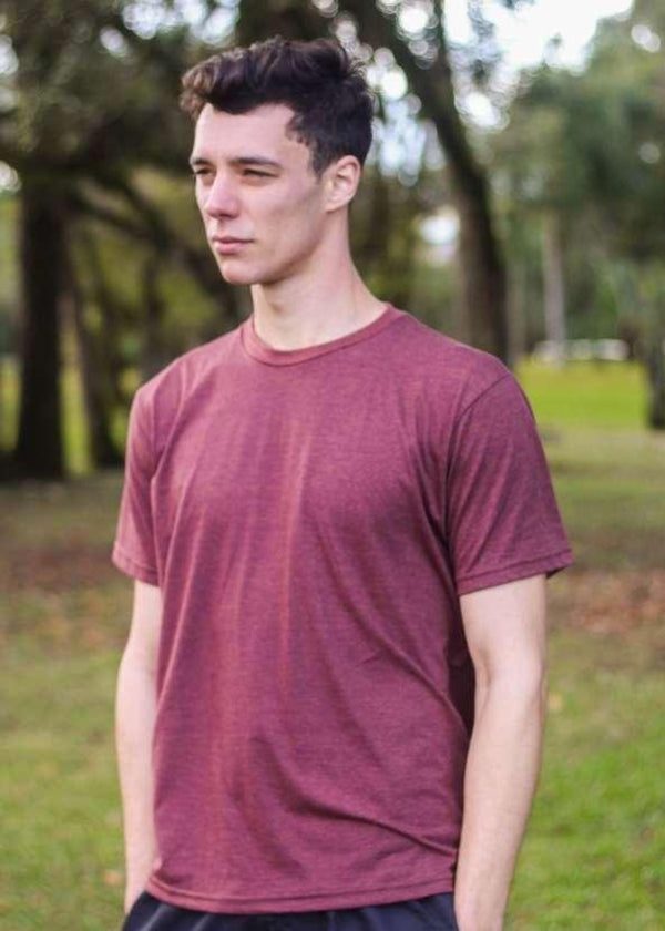 Camiseta Masculina Curta Adulta 100% Algodao Basica Verao