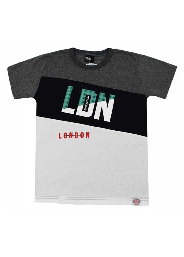 Camiseta Infantil Masculina Meninos Juvenil 100% Algodão