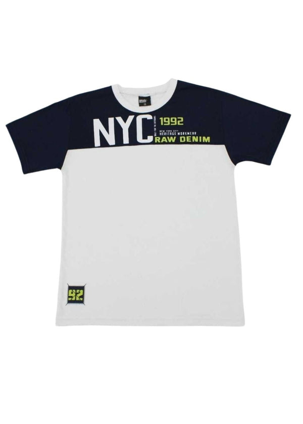 Camiseta Infantil Masculina Meninos Juvenil 100% Algodão