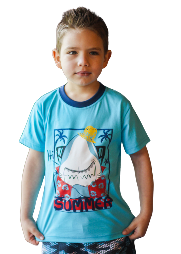Camiseta Infantil Masculina Meninos Juvenil 100% Algodão