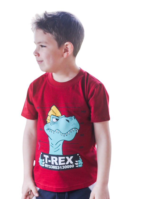 Camiseta Infantil Masculina Meninos Juvenil 100% Algodão