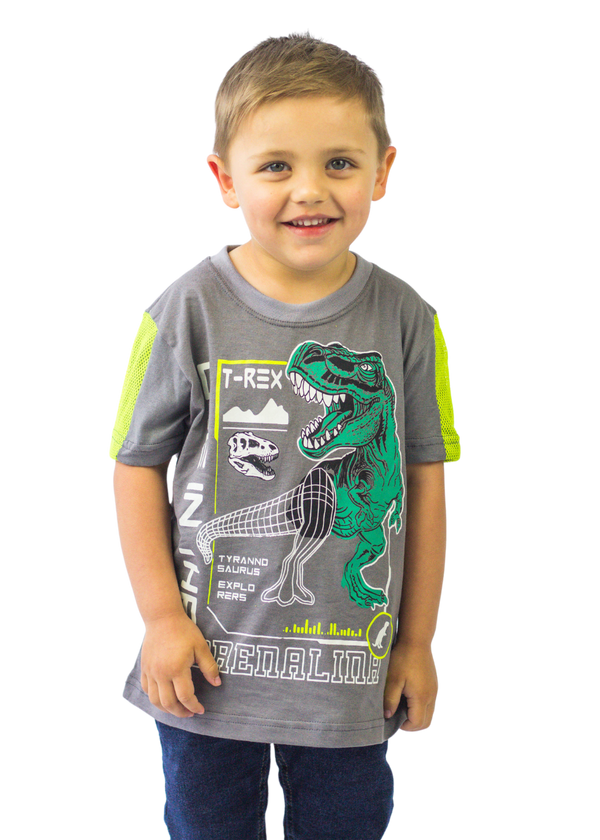 Camiseta Infantil Masculina Meninos Juvenil 100% Algodão