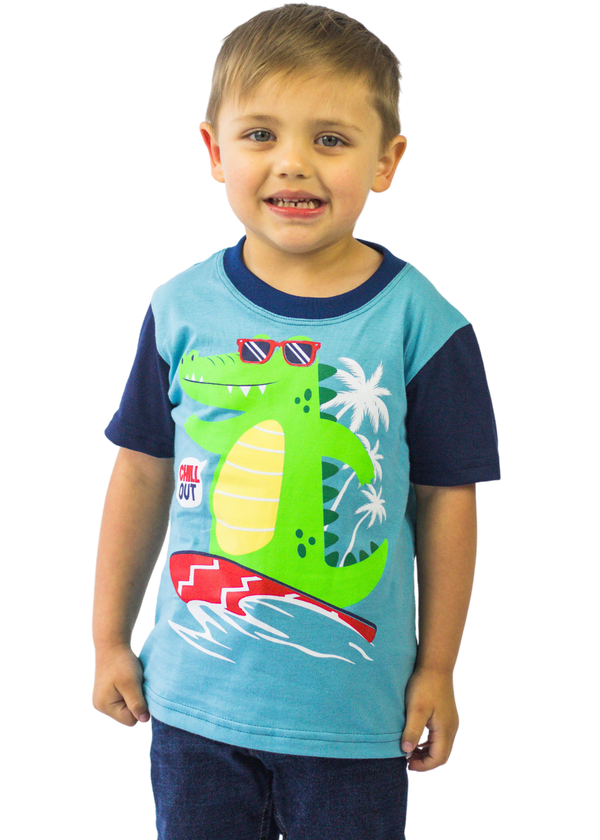Camiseta Infantil Masculina Meninos Juvenil 100% Algodão
