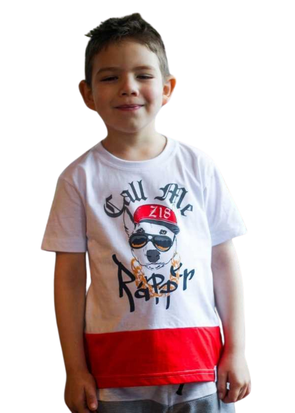 Camiseta Infantil Masculina Meninos Juvenil 100% Algodão
