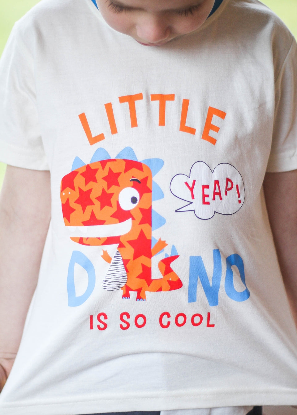 Pijama Infantil Masculino Meninos Juvenil Algodão Verao